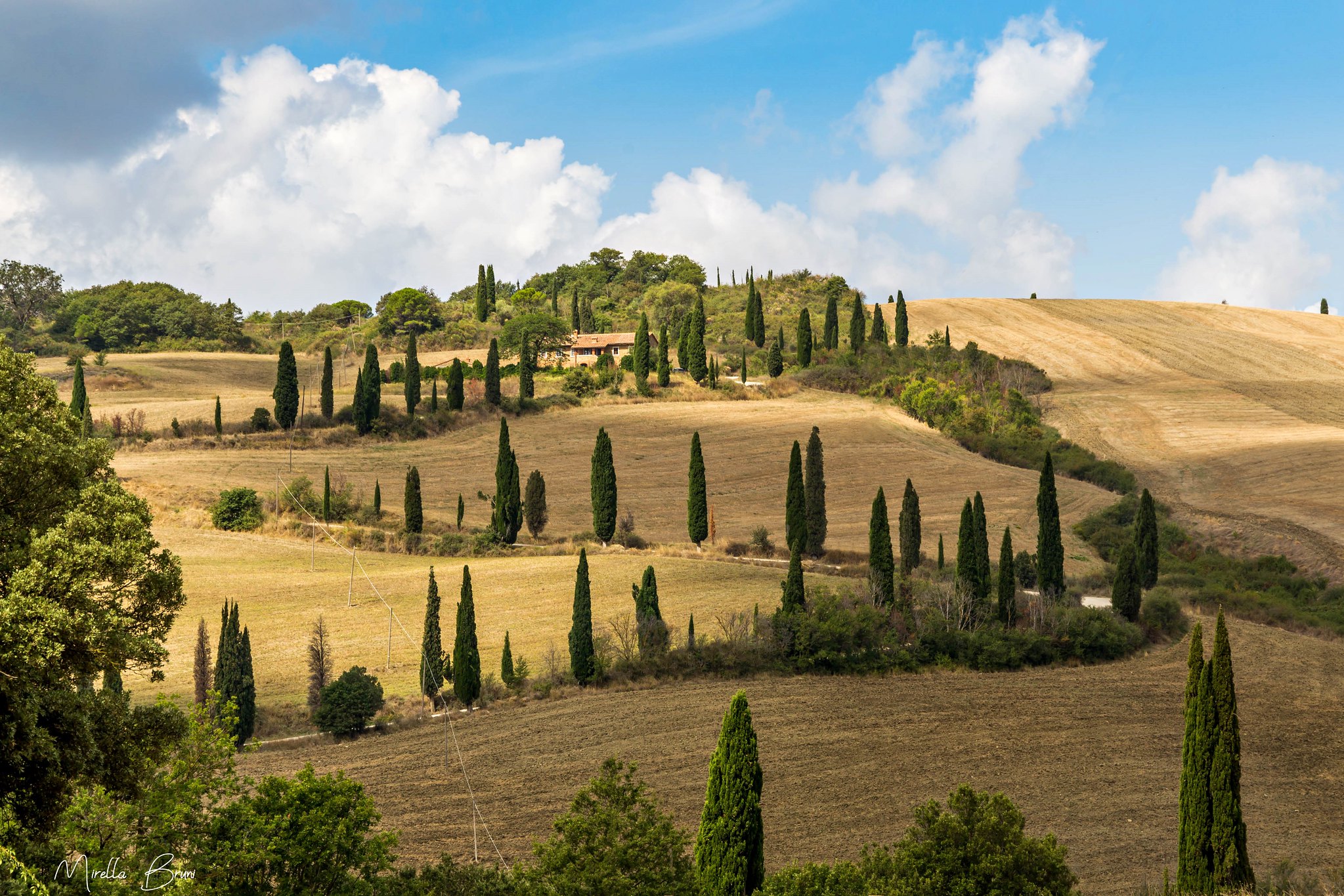 lucciola-bella-vitalenta-dintorni